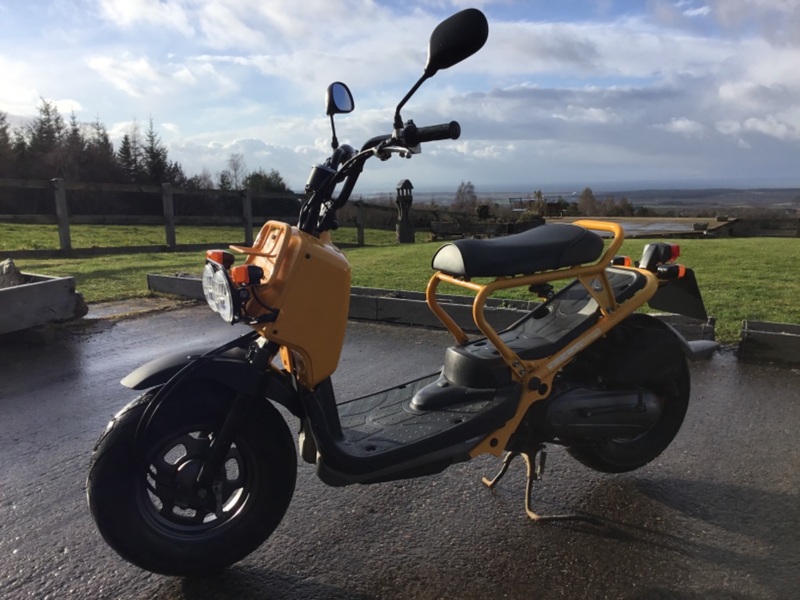 HONDA ZOOMER