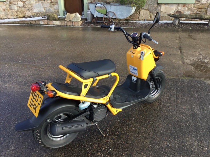 HONDA ZOOMER