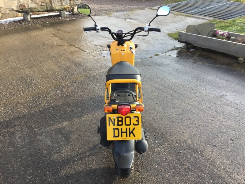 HONDA ZOOMER