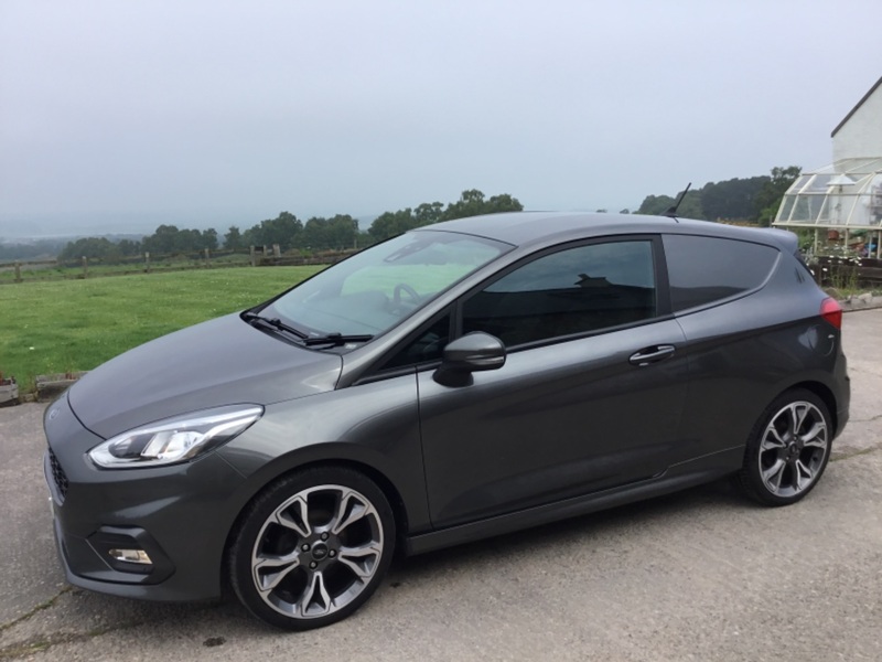 View FORD FIESTA 1.0ltr ECO BOOST SPORT 125ps PANEL VAN EURO 6